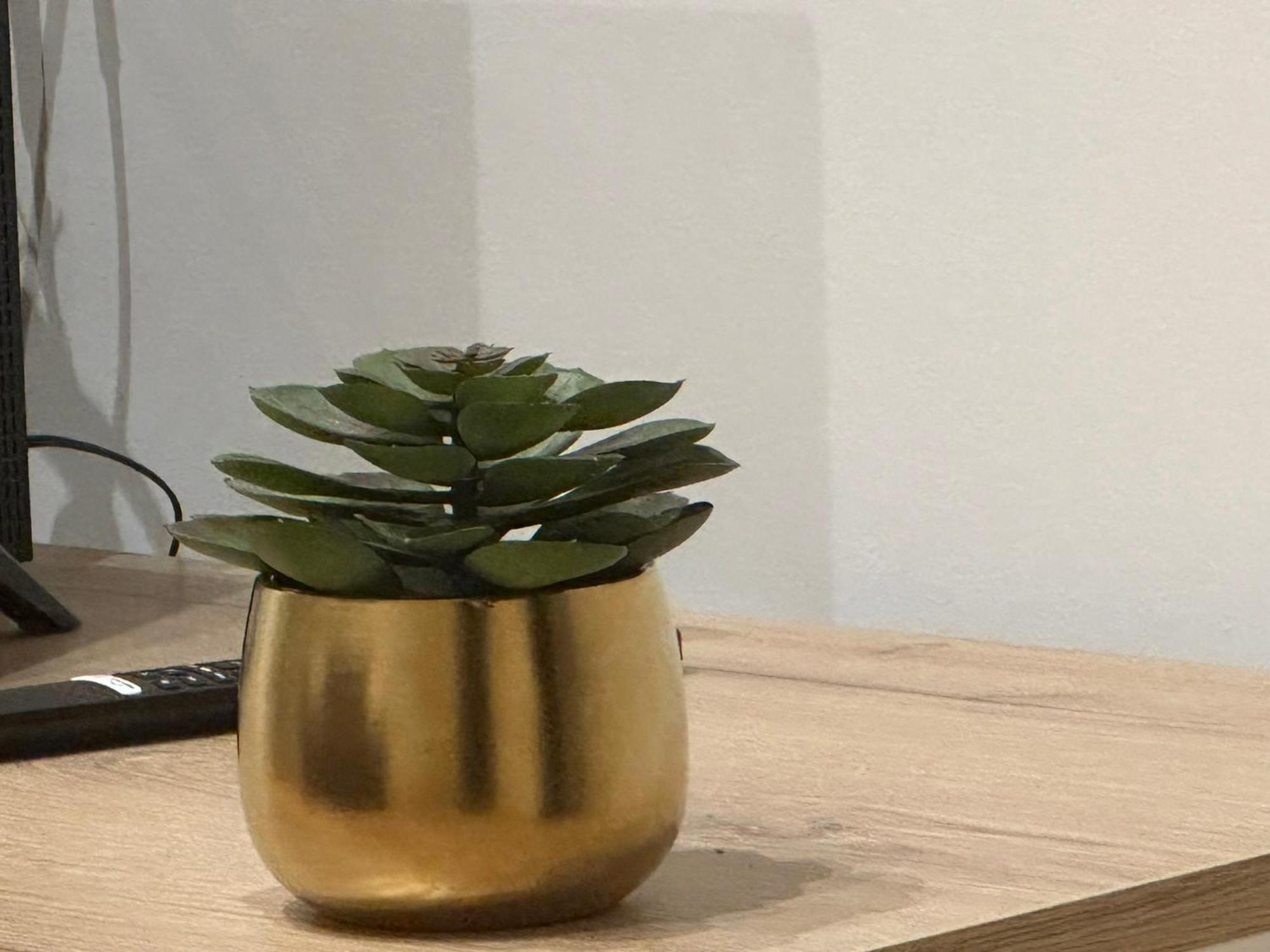 Lily Suite 巴勒莫 外观 照片
